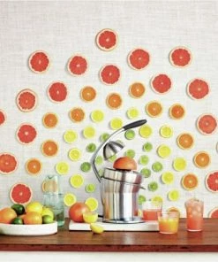 Entsafter & Zitruspressen Sage The Citrus Press Pro Zitruspresse Edelstahl -Küchenkleingeräte Verkäufe d44ccb12 b24d 456d b00b 902ac644c629 600x600