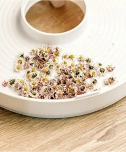 Dampfgarer & Reiskocher Rommelsbacher DA 750 Dörrautomat Weiß -Küchenkleingeräte Verkäufe d9904a55 c3b9 4bfd a046 2c9c51b4b34f 600x600